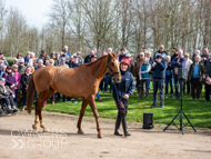 BP200326-63 - It's Hard To Know